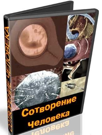 Загрузка постера...