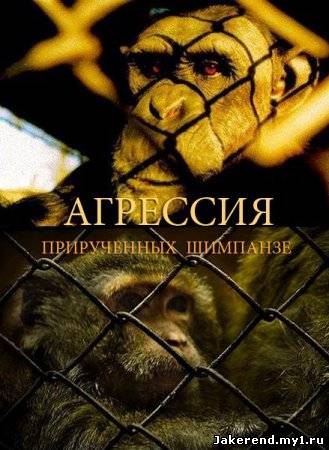 Загрузка постера...