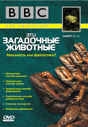 Загрузка постера...